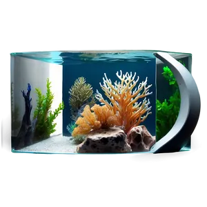 Marine Fish Tank Png 24 PNG Image