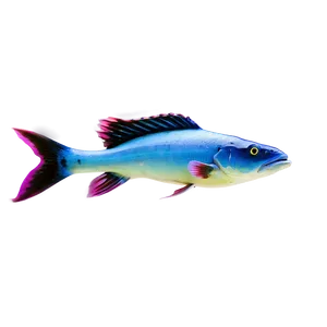 Marine Life Fish Png Dlf35 PNG Image