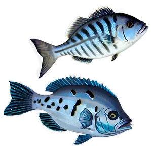 Marine Life Fish Png Jea34 PNG Image