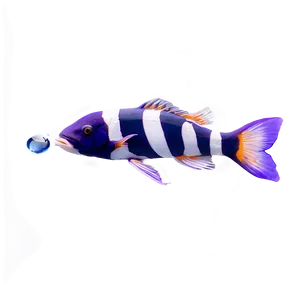 Marine Life Fish Png Ugy PNG Image