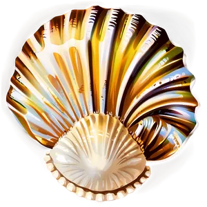 Marine Seashell Clipart Png Saq45 PNG Image