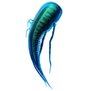 Marine Zooplankton Png Ihi PNG Image