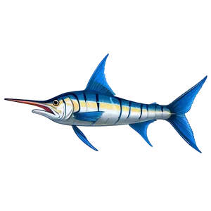 Marlin Vector Art Png Tao PNG Image