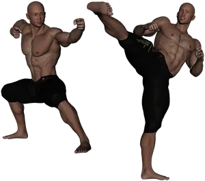 Martial_ Arts_ Demonstration PNG Image