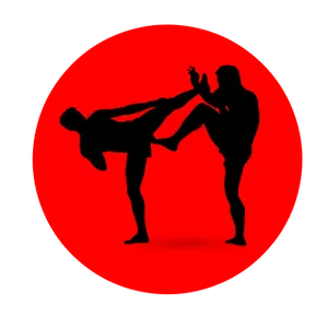 Martial Arts High Kick Silhouette PNG Image