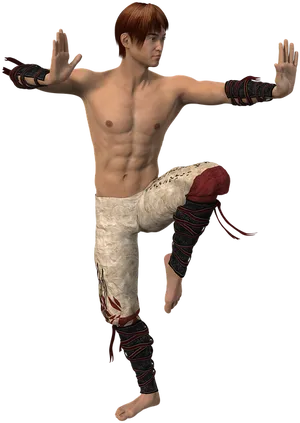 Martial_ Arts_ Stance_ Render PNG Image