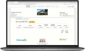 Medical Bill Payment Portal Screenshot PNG Image