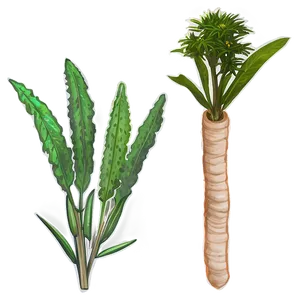 Medicinal Herb Png Tnn50 PNG Image