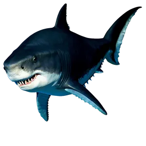 Megalodon Side View Png Tht30 PNG Image