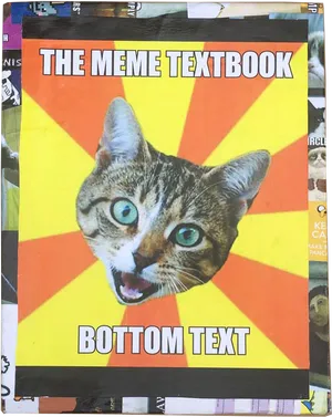 Meme Textbook Cat.jpg PNG Image