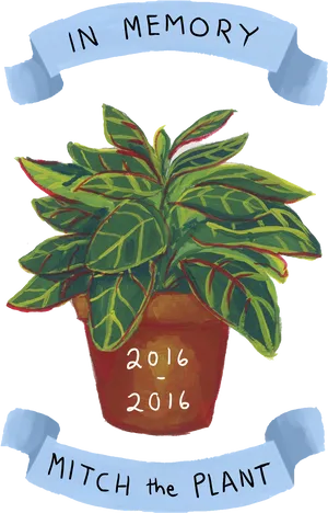 Memoryof Mitchthe Plant Illustration PNG Image