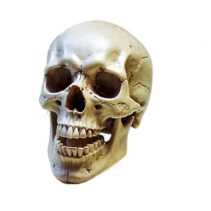 Menacing Skull Png 1 PNG Image