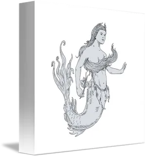 Mermaid Sketch Artwork PNG Image