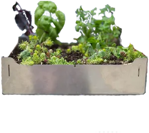 Metal Planterwith Succulentsand Decorative Cutouts PNG Image