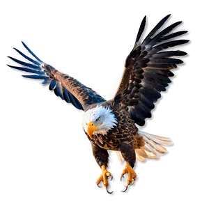 Mexican Eagle In Flight Png Eud88 PNG Image