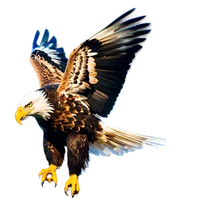 Mexican Eagle In Flight Png Ymh54 PNG Image