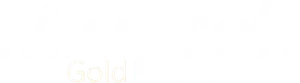 Microsoft Gold Partner Logo PNG Image