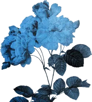 Midnight Blue Roses Art PNG Image