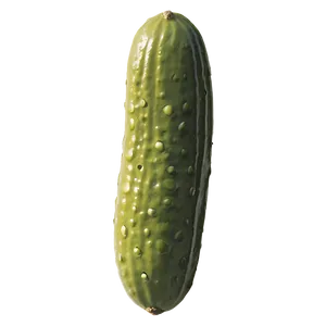 Mini Dill Pickle Png 06272024 PNG Image