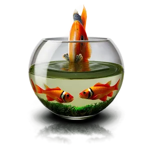 Mini Fishbowl Png 06212024 PNG Image