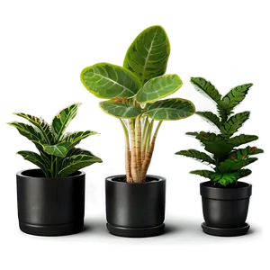 Mini Potted Plants Assortment Png Wai70 PNG Image