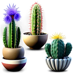 Miniature Cactus Collection Png Iey PNG Image