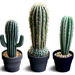 Miniature Cactus Collection Png Iux62 PNG Image