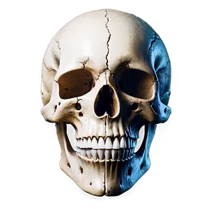 Minimal Skull Icon Png Nkg83 PNG Image