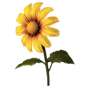 Minimalist Aesthetic Flowers Png Mto2 PNG Image