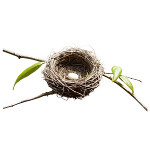 Minimalist Bird Nest Png 06212024 PNG Image