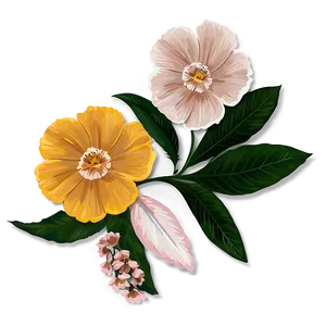 Minimalist Boho Flowers Png 46 PNG Image