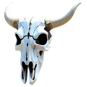 Minimalist Bull Skull Outline Png 06122024 PNG Image