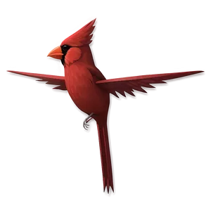 Minimalist Cardinal Design Png 23 PNG Image