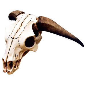 Minimalist Cow Skull Outline Png 90 PNG Image