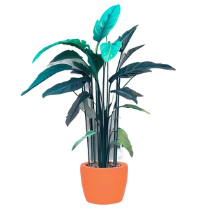 Minimalist Floor Plant Png Bdy PNG Image