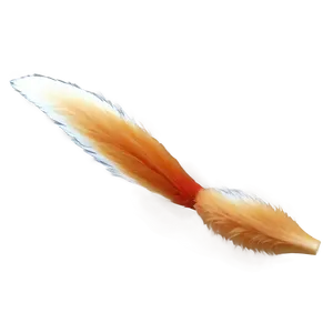 Minimalist Fox Tail Png 06282024 PNG Image