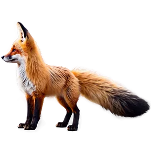 Minimalist Fox Tail Png Plk35 PNG Image