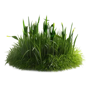 Minimalist Grass Patch Png Uac10 PNG Image