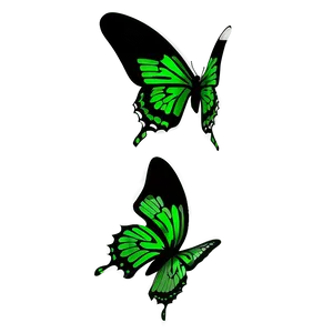 Minimalist Green Butterfly Png 06202024 PNG Image