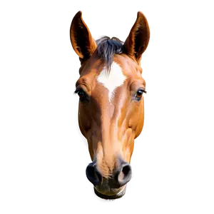 Minimalist Horse Head Icon Png Grm2 PNG Image