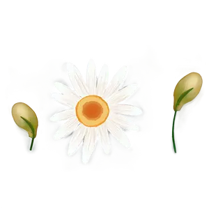 Minimalist Indie Flower Sketch Png 06252024 PNG Image