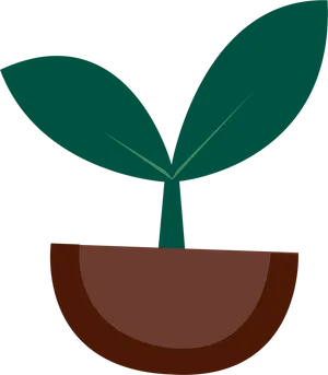 Minimalist Potted Plant Illustration PNG Image