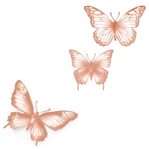 Minimalist Rose Gold Butterfly Png Sjo PNG Image