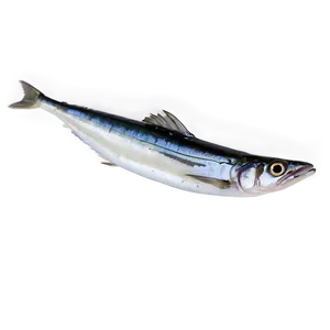 Minimalist Sardine Png Kny29 PNG Image