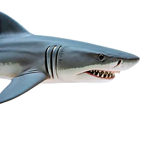 Minimalist Shark Jaw Png 06292024 PNG Image