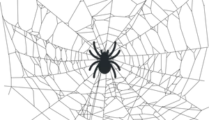 Minimalist Spider Iconon Black Background PNG Image