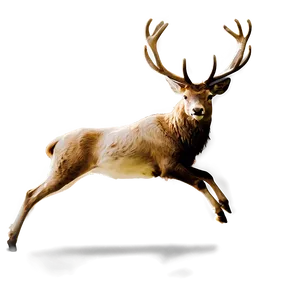 Minimalist Stag Sketch Png Aej PNG Image