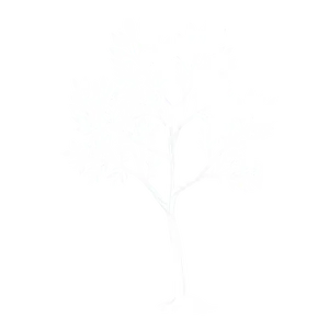 Minimalist White Tree Drawing Png 92 PNG Image