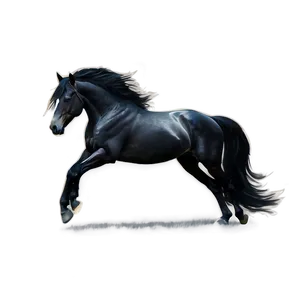 Minimalistic Black Horse Sketch Png Sly PNG Image