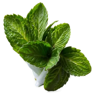 Mint Leaves Bundle Png 06262024 PNG Image